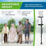 HoneyBull Walking Cane - Image 6
